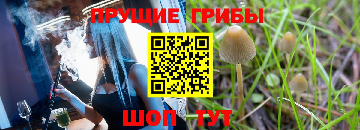 Белорецк  Псилоцибиновые грибы Magic Shrooms  купить наркотики цена  Вход с VPN 