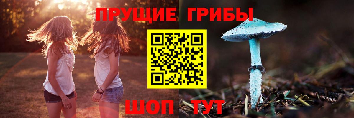 Псилоцибиновые грибы Psilocybine cubensis Белорецк